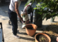 Un beau projet intergénérationnel fleuri de gratitude Résidence de l'Écuyer Toulouse